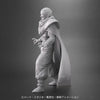 Dragon Ball Arise Piccolo Petrified Version Figure (FEB2027)